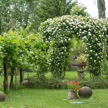 Ca'Bevilacqua Bed&Breakfast Bertinoro Eksteriør billede