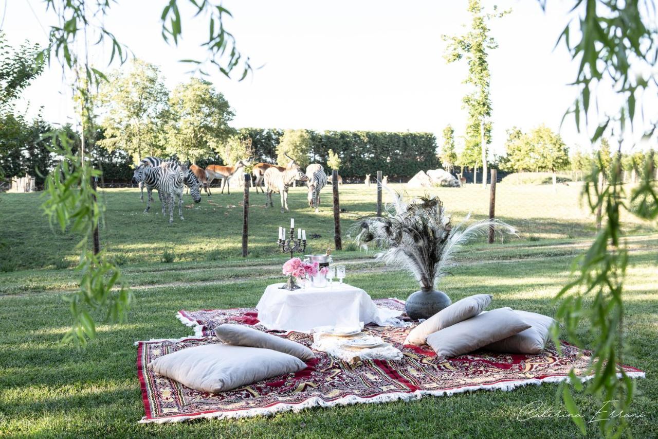 Ca'Bevilacqua Bed&Breakfast Bertinoro Eksteriør billede