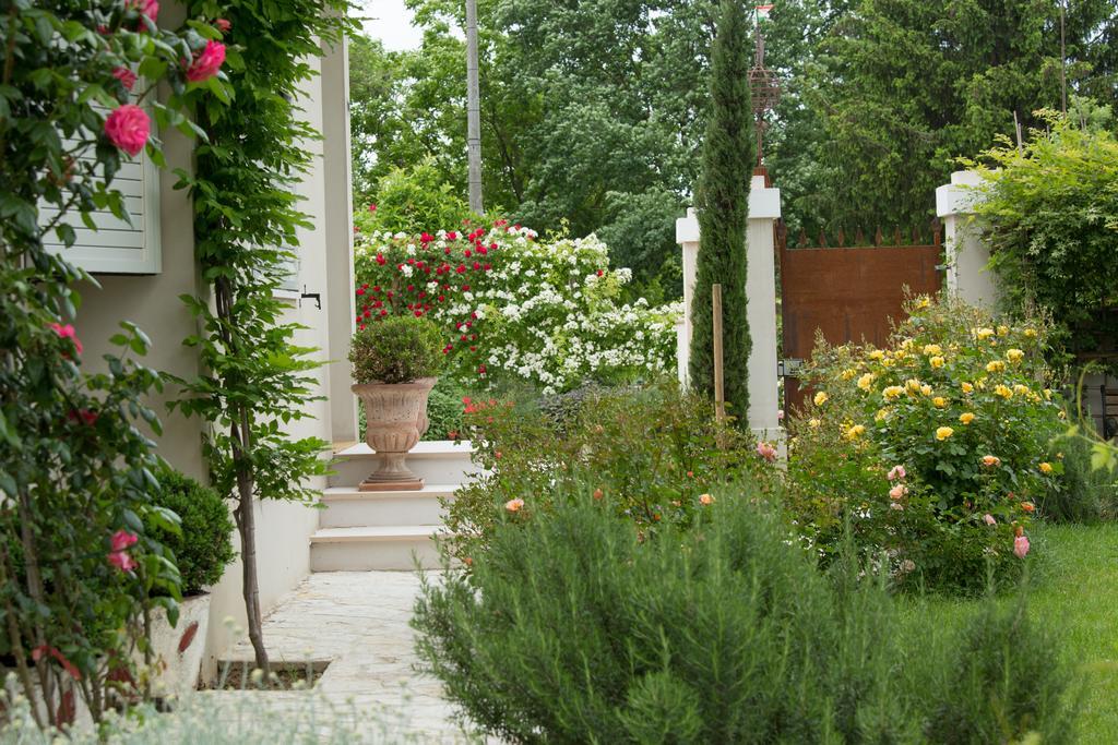 Ca'Bevilacqua Bed&Breakfast Bertinoro Eksteriør billede