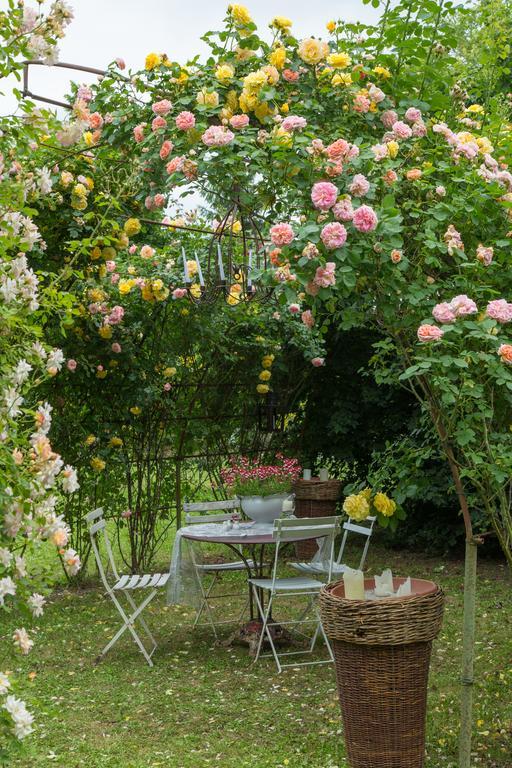 Ca'Bevilacqua Bed&Breakfast Bertinoro Eksteriør billede
